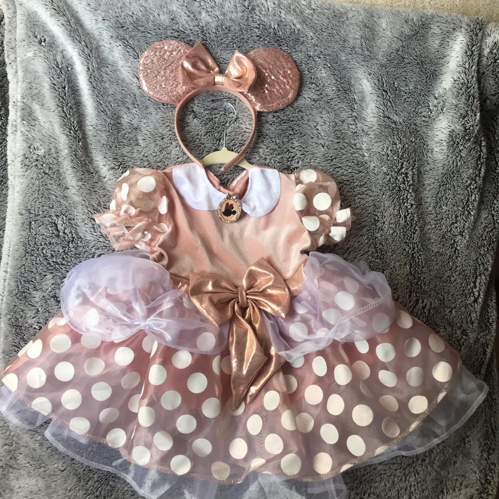 Rose Gold Minnie Mouse costume